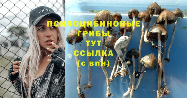 мескалин Беломорск