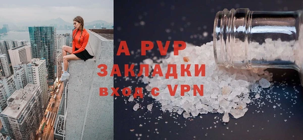 СК Белокуриха