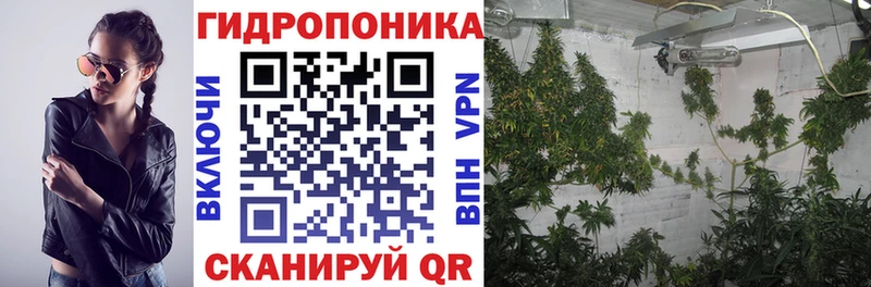 omg зеркало Полесск Шишки марихуана сатива